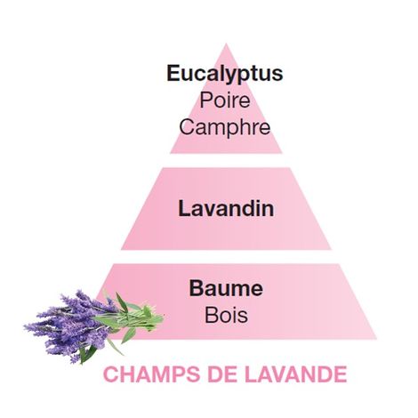 Comprar CHAMPS DE LAVANDE PARFUMS DE MAISON 500ML. BERGER MAISON PARIS 1898