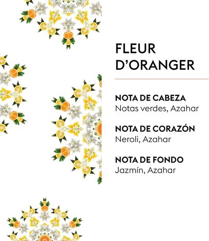 Comprar FLEUR D ORANGER PARFUMS DE MAISON 500ml BERGER MAISON PARIS 1898