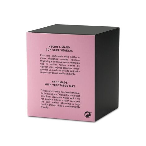 Comprar NORDIC ANGELICA CERERIA MOLLA HANDMADE CON CERA VEGETAL CERERIA MOLLA 1899