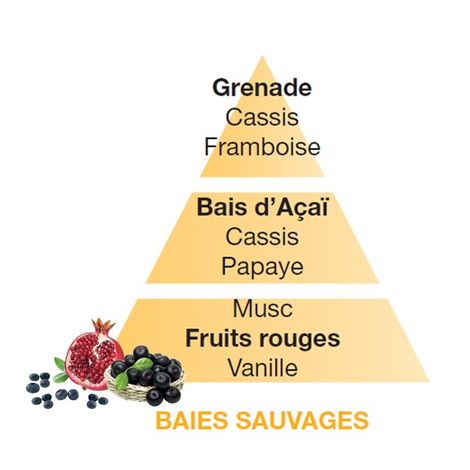 Comprar BAIES SAUVAGES - WILD BERRIES 500ml  BERGER MAISON PARIS 1898