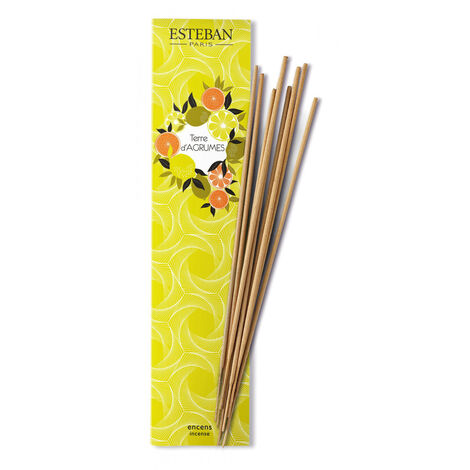 Comprar TERRE D AGRUMES 20 BAMBOO STICK INCENSE ESTEBAN PARIS