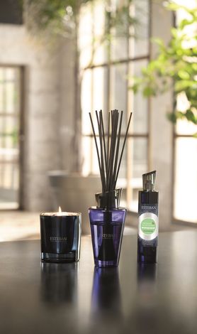 Comprar THE BLANC & YLANG YLANG 100ml ESTEBAN PARIS