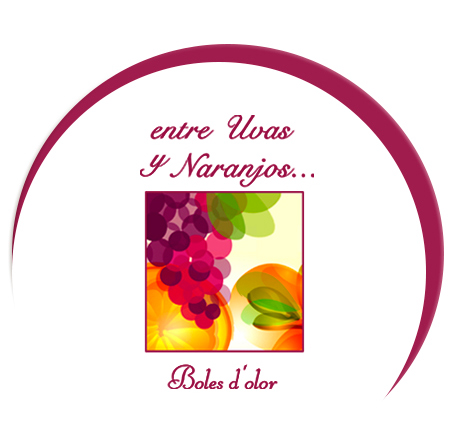 Comprar ENTRE UVAS Y NARANJOS 500ml BLACK EDITION RECAMBIO MIKADO BOLES D'OLOR