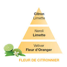Comprar FLEUR DE CITRONNIER 500ml PARFUN DE MAISON BERGER MAISON PARIS 1898