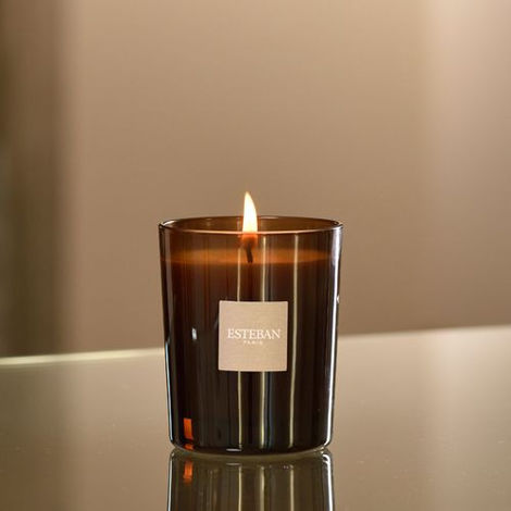 Comprar AMBRE 170gr VELA PERFUMADA RECARGABLE ESTEBAN PARIS