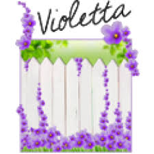 Comprar VIOLETTA 200ml BLACK EDITION RECAMBIO MIKADO BOLES D'OLOR