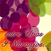 Comprar ENTRE UVAS Y NARANJOS 300ml BLACK EDITION RECAMBIO 300ml BOLES D'OLOR