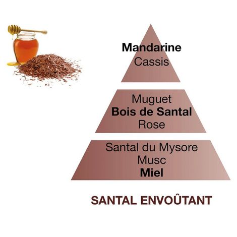 Comprar SANTAL ENVOUTANT 500ml LAMPE RECHARGE BERGER MAISON PARIS 1898