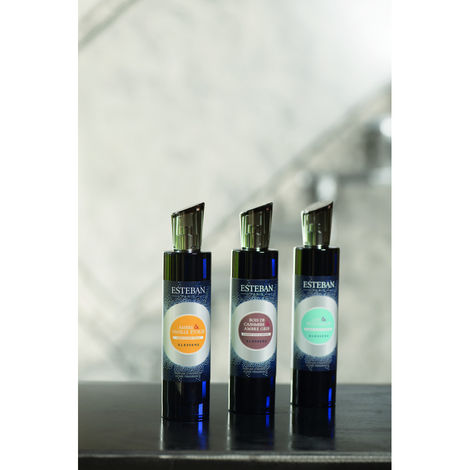 Comprar AMBRE & VANILLE ETOILEE ELESSENS SPRAY HOME ESTEBAN PARIS