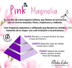 Comprar MAGNOLIA PINK 50ML BRUMAS DE AMBIENTE BOLES D'OLOR