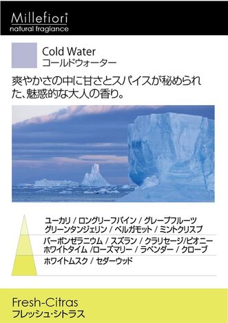 Comprar COLD WATER 150ML HOME SPRAY MILLEFIORI MILANO