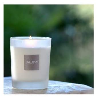 Comprar CITRONELLE & MENTHE 170gr BOUGIE ESTEBAN PARIS