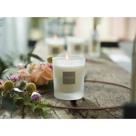 Comprar JASMIN D' ETE BOUGIE 180gr PARFUMEE  ESTEBAN PARIS