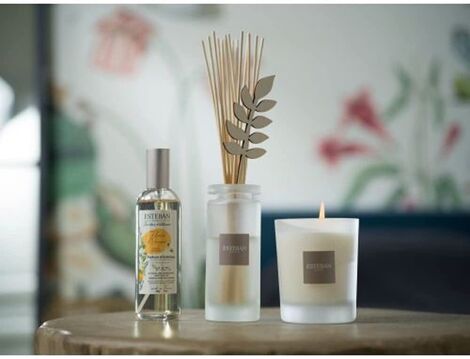 Comprar FLEURS D' ORANGER 180gr RECARGA VELA ESTEBAN PARIS