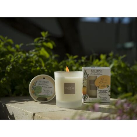 Comprar JASMIN D' ETE BOUGIE 180gr RECHARGE BOUGIE ESTEBAN PARIS