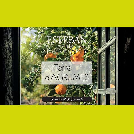 Comprar TERRE D' AGRUMES VOITURE DIFFUSEUR RECHARGEABLE ESTEBAN PARIS