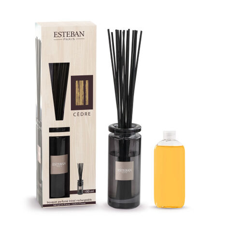 Comprar CEDRE BOUQUET PARFUME INITIAL 100ML ESTEBAN PARIS