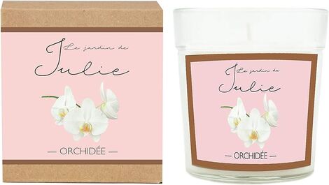 ORCHIDEE VELA +/-40 HORAS.LE JARDIN DE JULIE