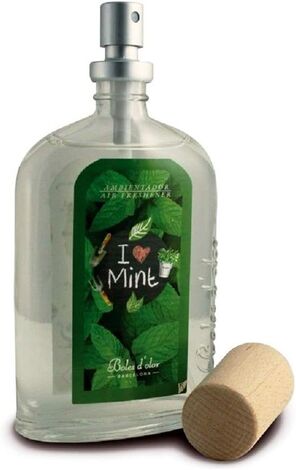 MENTA I MINT 100ml HOME SPRAY