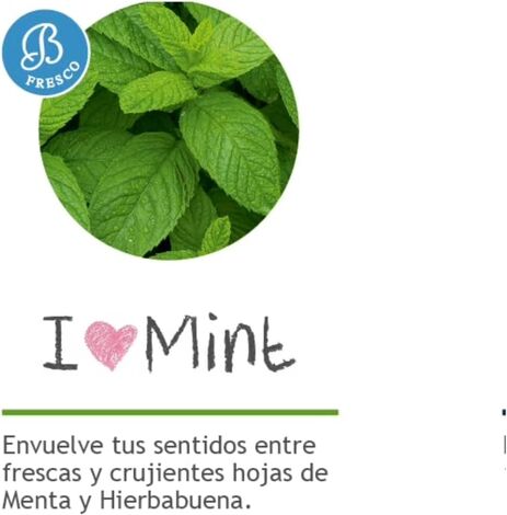 Comprar MENTA I MINT 50ml BRUMAS DE AMBIENTE BOLES D'OLOR