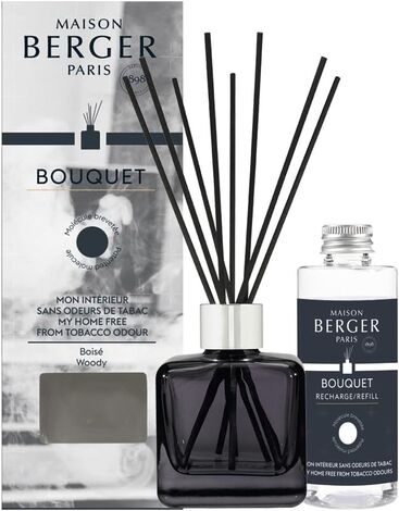 ANTI TABAC MON INTERIEUR SANS ODEURS DE TABAC 100ml