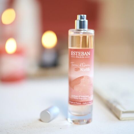 Comprar TERRE D' OCRE KARITE 75ml ROOM SPRAY ESTEBAN PARIS ESTEBAN PARIS