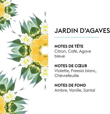 Comprar JARDIN D AGAVES 500ml RECHARGE VEGETAL & DELICATE MAISON BERGER BERGER MAISON PARIS 1898