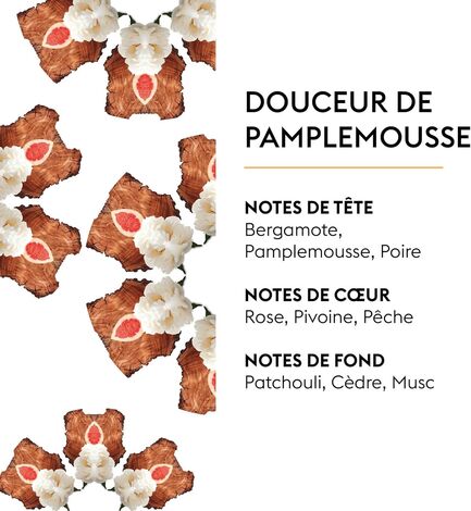 Comprar DOUCEUR DE PAMPLEMOUSSE 1L REFILL BERGER MAISON PARIS 1898