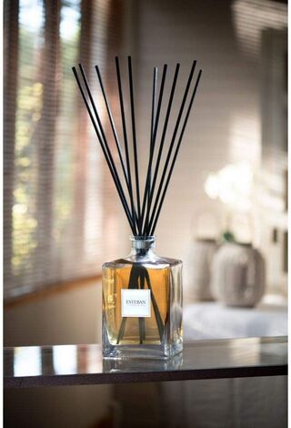 Comprar TIGES - 10 VARILLAS 60cm ULTRA NOIRES POR BOUQUET-MIKADO ESTEBAN PARIS